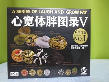 Amazon.co.jp: 動物の惑星 アニマルプラネット 爬虫類リアル